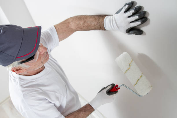 Best Drywall Sanding and Smoothing  in Halesite, NY